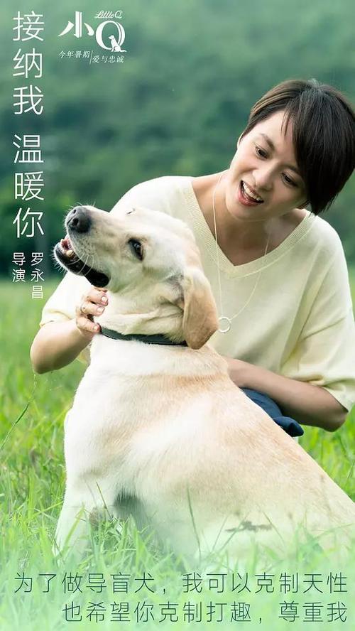 同等学力申硕如何拿到学历证书